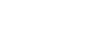 flygt_logo