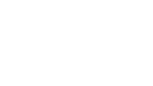 realface_logo
